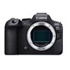 Canon EOS R6 Mark II Body