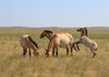 Поездка в Оренбургский заповедник