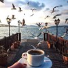 пить кофе на берегу моря
