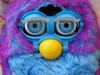 Furby baby Blue change Neon blue eyes