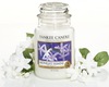 свеча Yankee Candle Midnight Jasmine