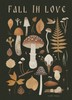 Сертификат plantmybones