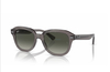Ray-Ban ERIK RB4398 667571 Grey