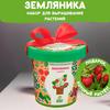 Набор для выращивания растений Happy Plant Земляника садовая