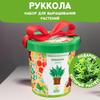 Набор для выращивания растений Happy Plant Руккола пряная