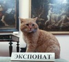 Музей
