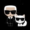 Karl Lagerfeld accessories