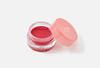 Блеск Fruity Lip Jam Dasique в оттенке 10