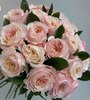 густомахровые (типа пионовидные) ароматные розы