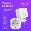 умная розетка (Алиса/Маруся/Google)