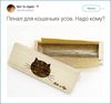 Баночка для хранения кошачьих усов