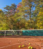 Autumn Tennis