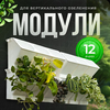 Фитомодуль
