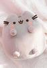 Pusheen