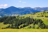 карпаты