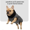 теплую попону для Тоффи