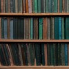 Прочитать книгу в букинистическом издании