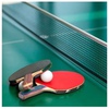Поиграть в настольный теннис