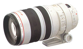 Объектив Canon 100-400mm f/4.5 - 5.6 L IS USM