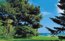 Чтобы этот дом стоял на берегу теплого моря