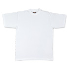 белую футболку DVS