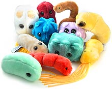 Giant Plush Microbes