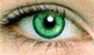 зелёные контактные линзы