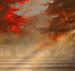 Киото осенью
