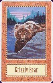 Wolf Song Cards