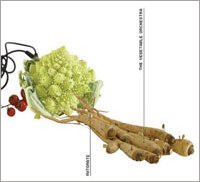 альбом "automatic" vienna vegetable orchestra