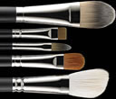 Brushes