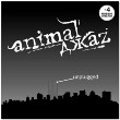 Концерт  Animal ДжаZ