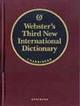 Webster's Dictionary