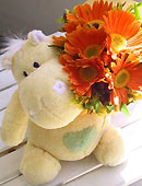 цветы и мягкие игрушки..