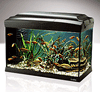 аквариум на 40 литров