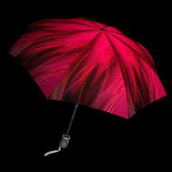 Красивый зонт-трость