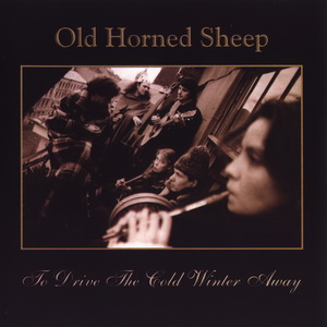 Old Horned Sheep