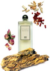 Santal Blanc