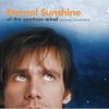 Eternal Sunshine of the Spotless Mind (Вечное сияние разума)