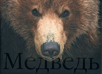 Альбом "Медведь"