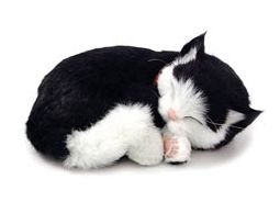 Дышащая черно-белая короткошерстая кошка 28x20x13