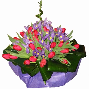 ID birthday_5 - Рождение Легенды