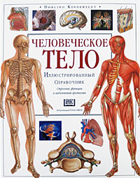 Человеческое тело. Иллюстрированный справочник. Строение, функции и заболевания организма