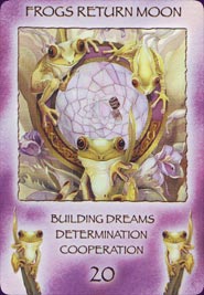 Spirit of the Wheel Meditation Deck