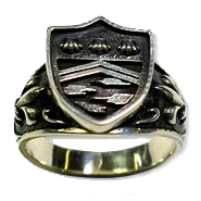 Vongola Mist Ring