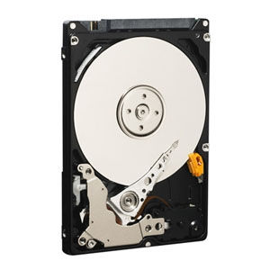 320,0 Gb HDD Western Digital (WD3200BJKT)