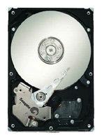 Seagate ST3500320NS 750 Мб