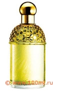 GUERLAIN - Aqua Allegoria Mandarine-Basilic