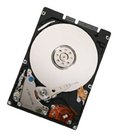 250,0 Gb HDD Hitachi (**SA00) Travelstar 5K250