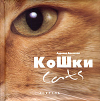 Кошки / Cats